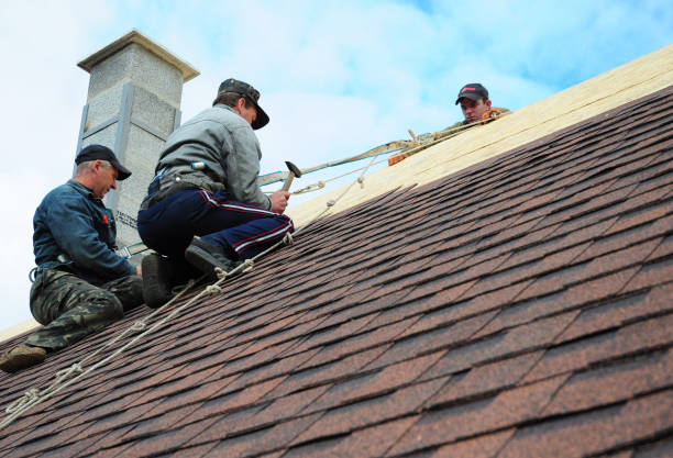 Best Metal Roofing Contractor  in Colfax, CA